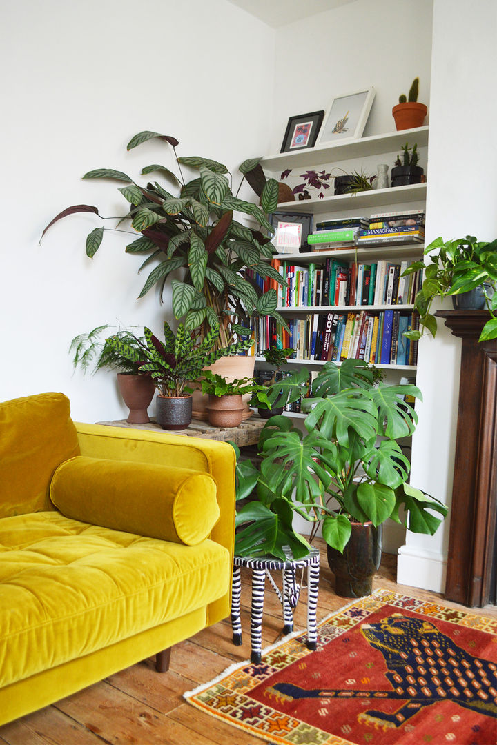 Living Room with plants Cuemars 现代客厅設計點子、靈感 & 圖片 Living Room plants urban jungle