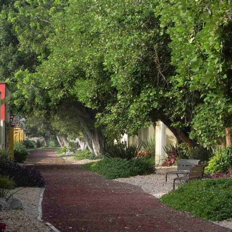 CICLO PISTA Y AREA JOGGING FRACC ARCO ANTIGUO, PR SUSTENTABLE PR SUSTENTABLE Vườn phong cách đồng quê