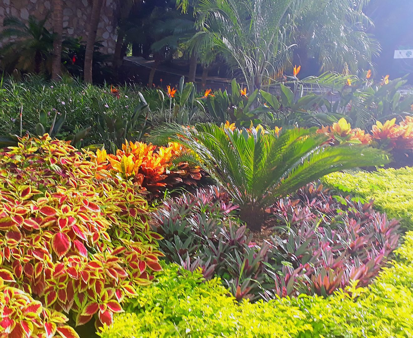 Maravilloso Proyecto en CASA Y.A., EcoEntorno Paisajismo Urbano EcoEntorno Paisajismo Urbano Giardino anteriore