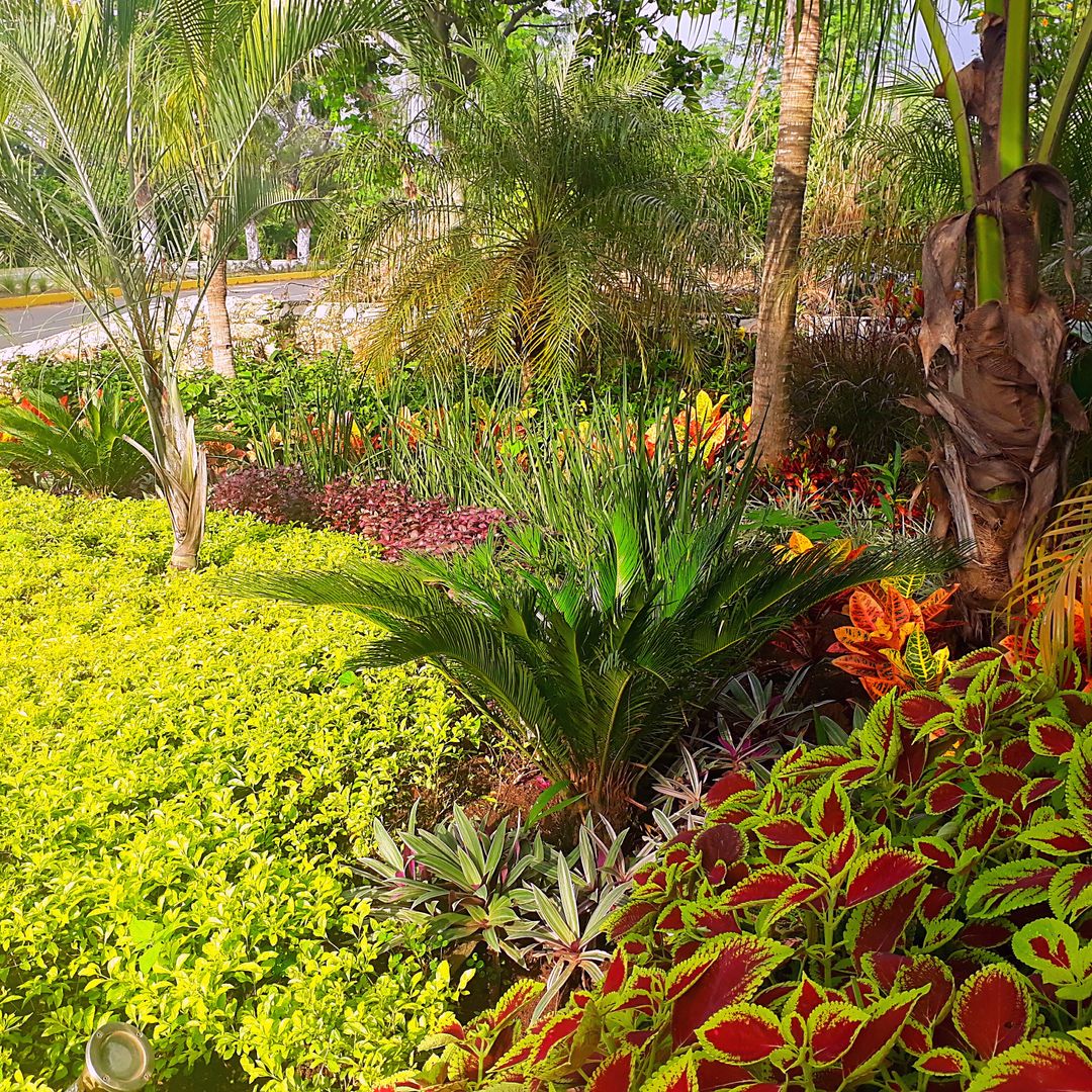 Maravilloso Proyecto en CASA Y.A., EcoEntorno Paisajismo Urbano EcoEntorno Paisajismo Urbano Giardino anteriore