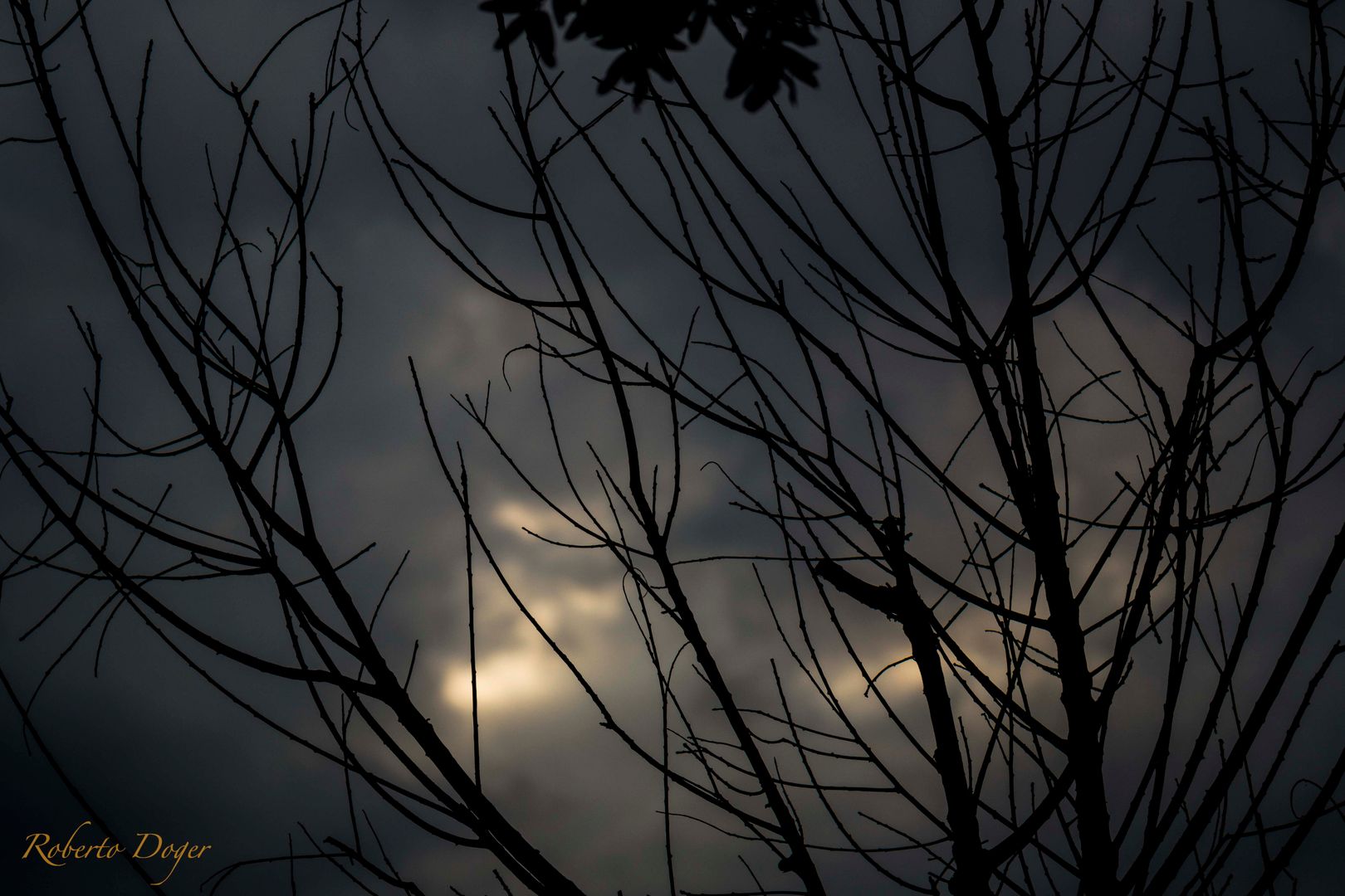 Atardecer en el Ajusco Roberto Doger Fotografía Otros espacios Cuadros e ilustraciones