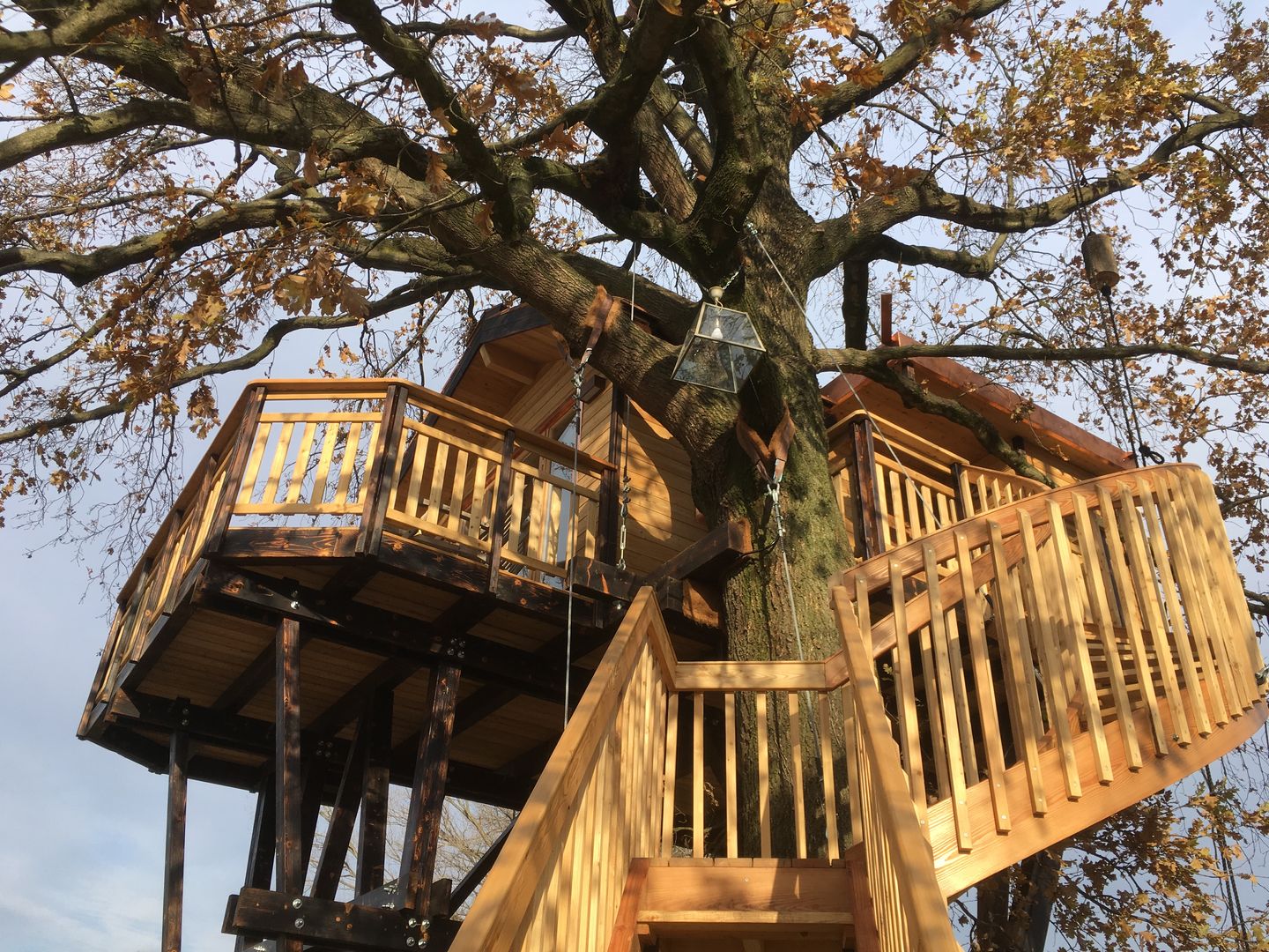 Gli Esterni - Relais il Cigno Sullalbero Spazi commerciali Legno Effetto legno Sull'albero, casa sull'albero, progetto, design, treehouse, case in legno,Hotel