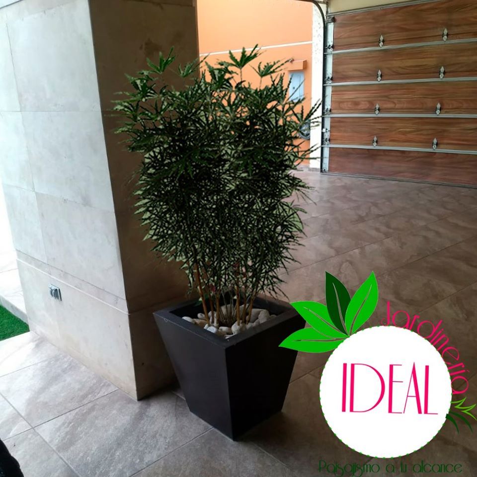 Diseño de interiores , IDEAL Jardinería IDEAL Jardinería Minimalist corridor, hallway & stairs
