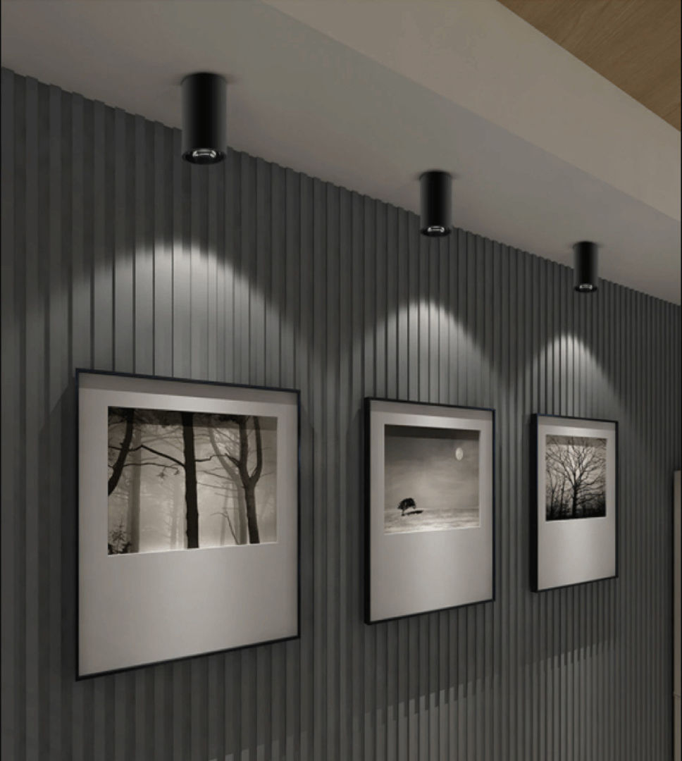 Surface Mounted Downlight COB Light In Hallway Harold Electrical Modern corridor, hallway & stairs Aluminium/Zinc Black