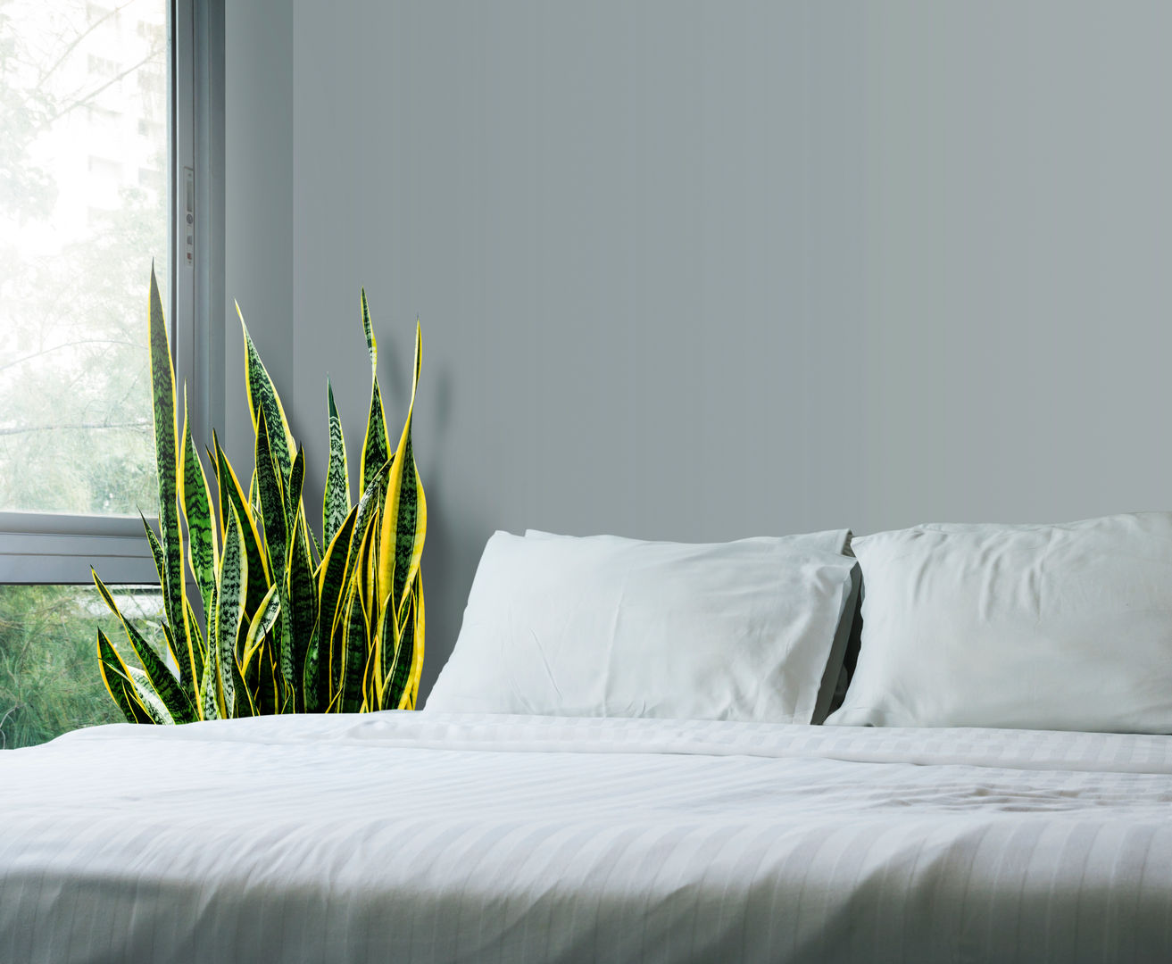 Interioforest Plantscaping Solutions Kamar Tidur Tropis