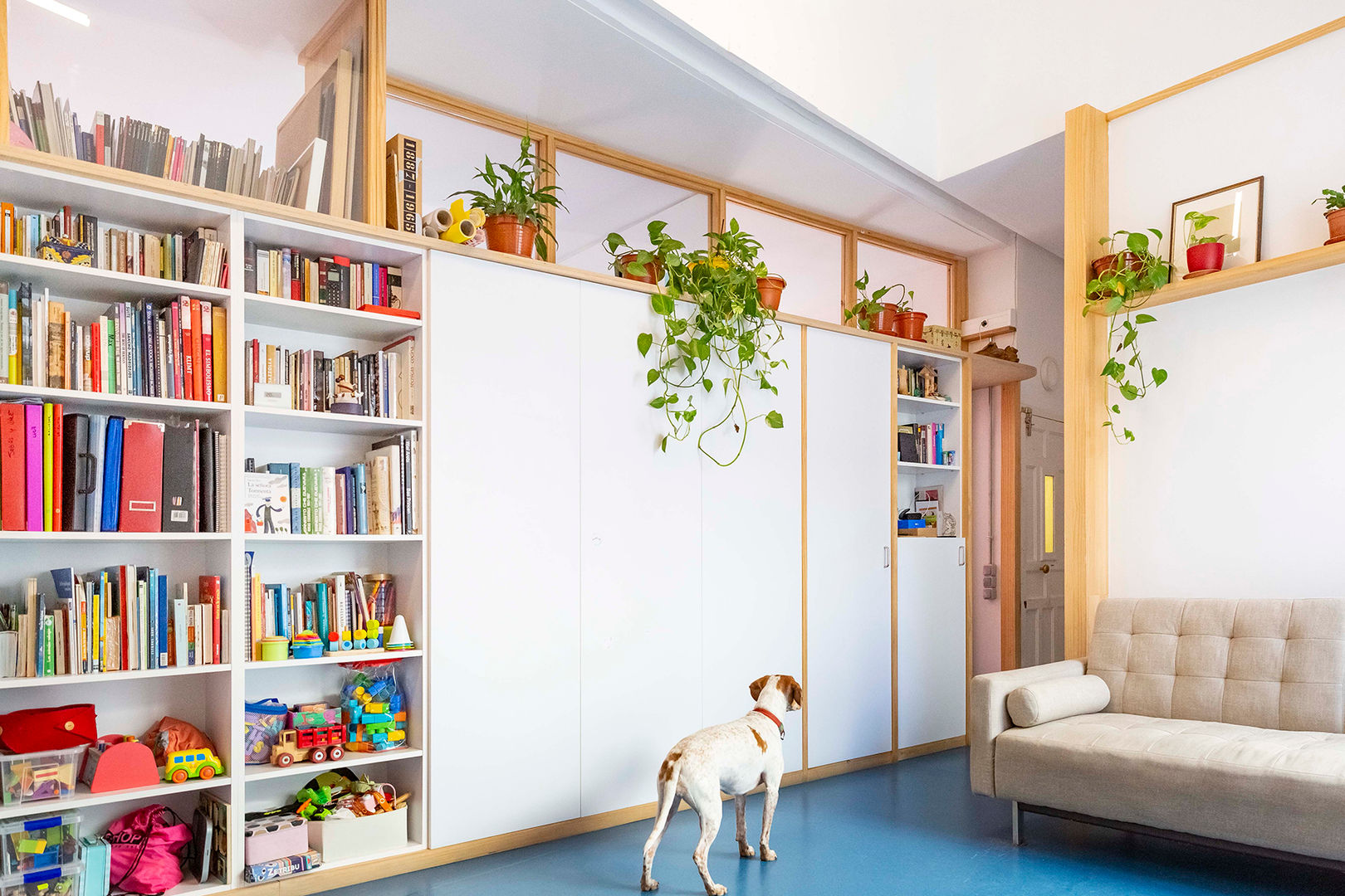 Salón IMAGINEAN Comedores de estilo moderno Contrachapado perro, suelo azul, vinilo, armario, madera, plantas, obra, reforma, rehabilitación, salón, proyecto, arquitectura, sostenible, diáfano, loft, multiespacio, multidisciplinar, multidisciplinario, vivienda, transformar, transformación, reinventar, reinterpretar, reutilizar, moderna, moderno, familiar, uso familiar, obra, consumo, energía, energético, eficiente, eficiencia, adaptar, estaciones, inteligente, confinamiento, covid, espacio, espacios, estudio, multiuso, Madrid España