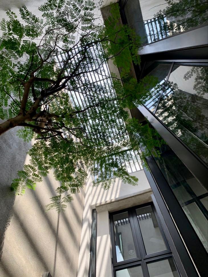 Internal courtyard looking up patch of sky N O T Architecture Sdn Bhd Terrace