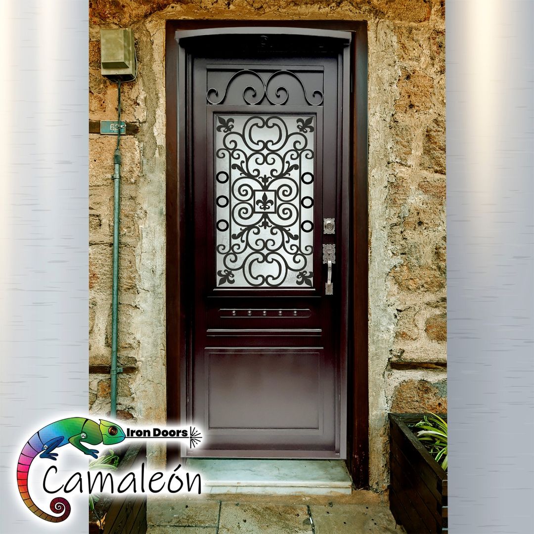 Puerta modelo Reny, Camaleon Iron Doors Camaleon Iron Doors Puertas principales Hierro/Acero