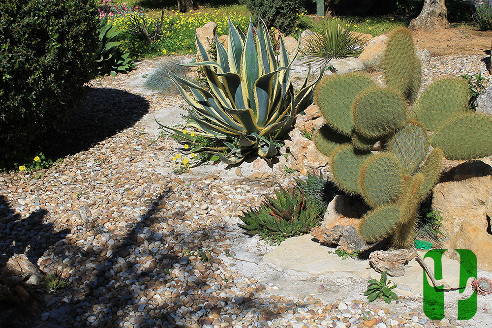 Quinta em Mafra, Catobranco Lda Catobranco Lda Jardin de rocaille