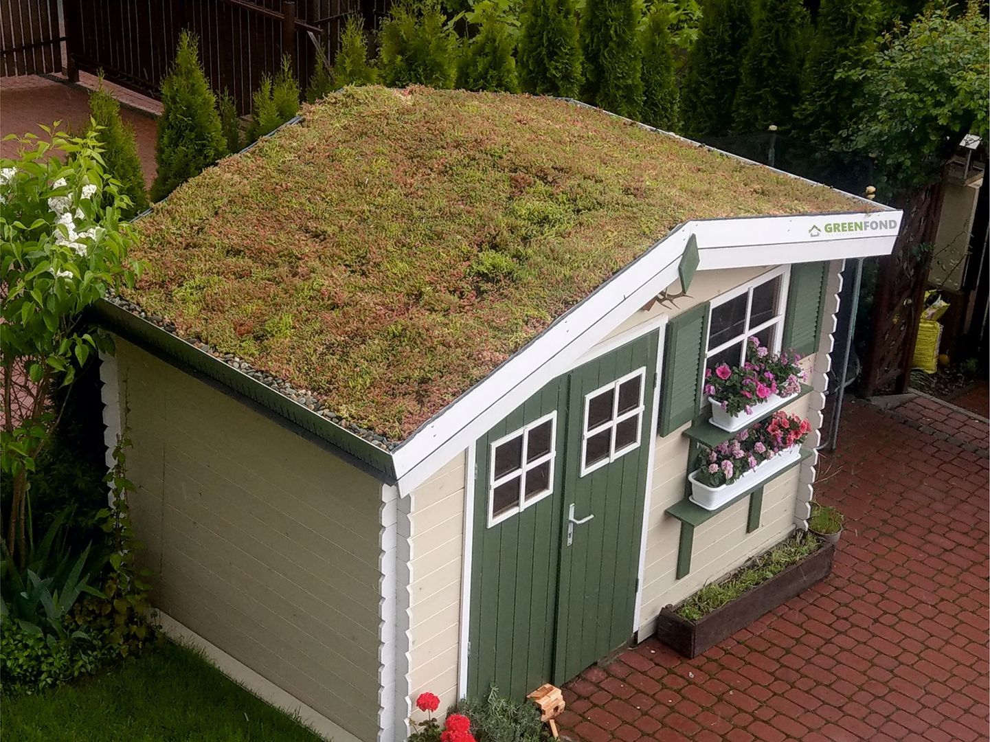 A z&ouml;ldtetős f&eacute;szer l&aacute;tv&aacute;nynak sem utols&oacute;