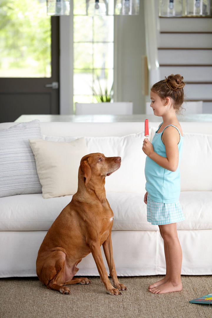 Kid-Friendly Spaces Sunbrella Living room