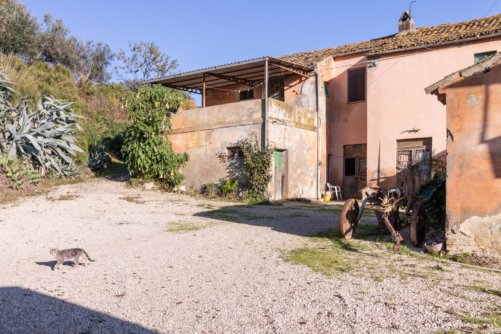 Comune di Ripatransone: Vivere in campagna, PROPERTY TALES PROPERTY TALES Country house