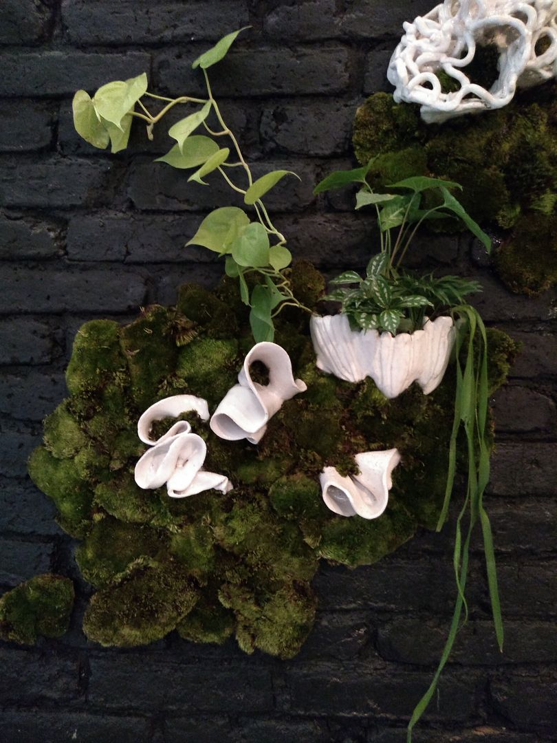 Plantas en macetas de diseño a cargo del cliente. ON Construcción Ecológica Paredes y pisos modernos Cerámico