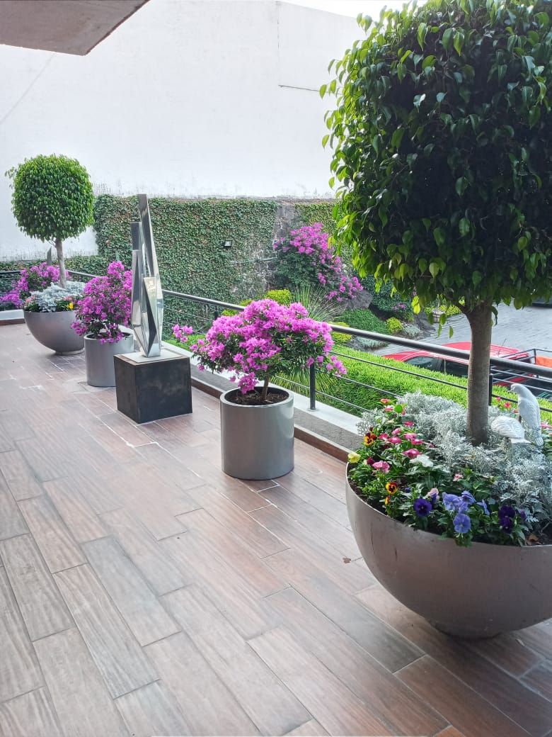 Jardiner´ía Exterior, Jardineria bonaterra Jardineria bonaterra Jardines de estilo moderno Plantas y flores