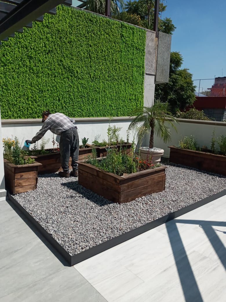 Jardiería para terraza y fachada, Jardineria bonaterra Jardineria bonaterra Сад в стиле модерн Растения