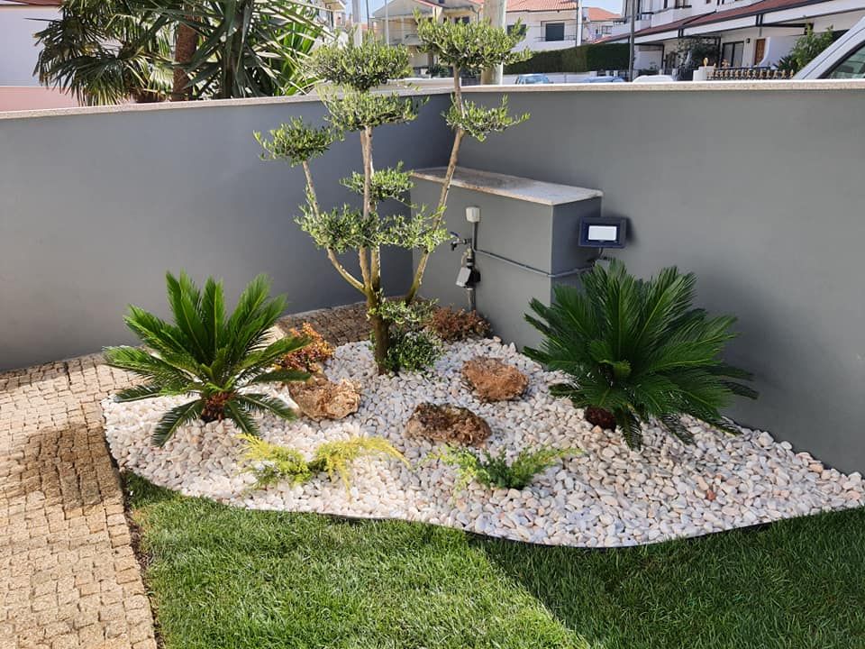 Jardim em casa Particular em Moreira da Maia, Viveiros Florido Plantas Viveiros Florido Plantas Vườn phong cách mộc mạc