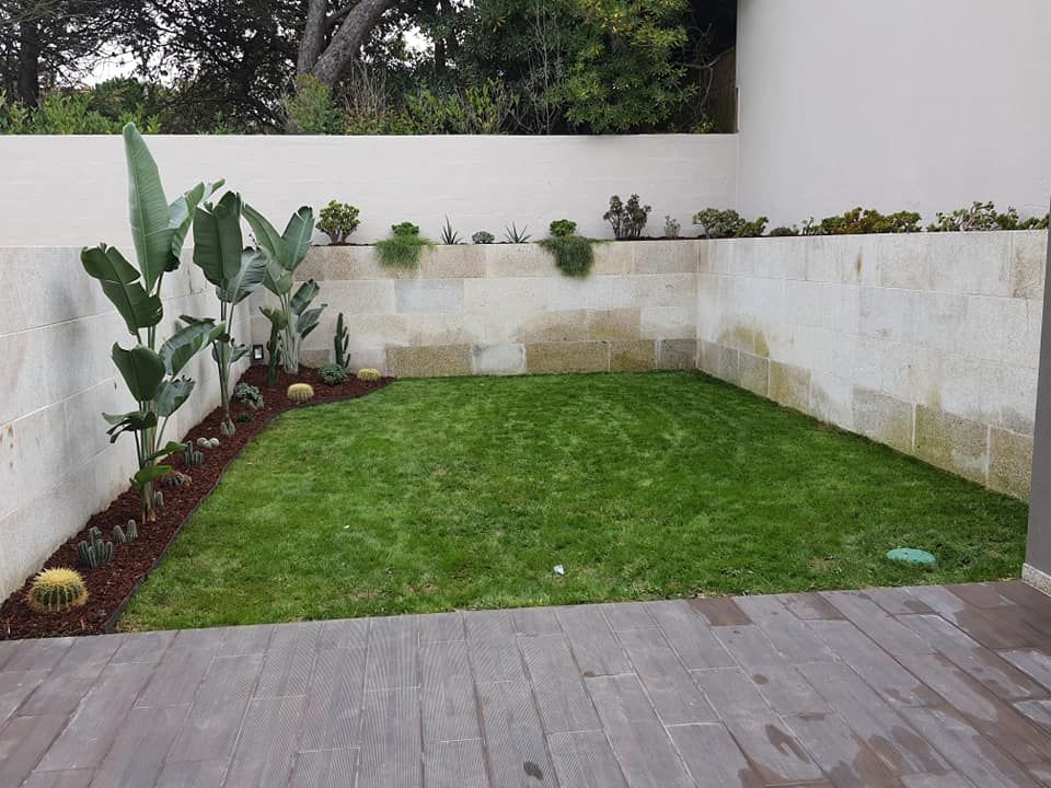 Jardim de suculentas em Mindelo, Viveiros Florido Plantas Viveiros Florido Plantas สวน