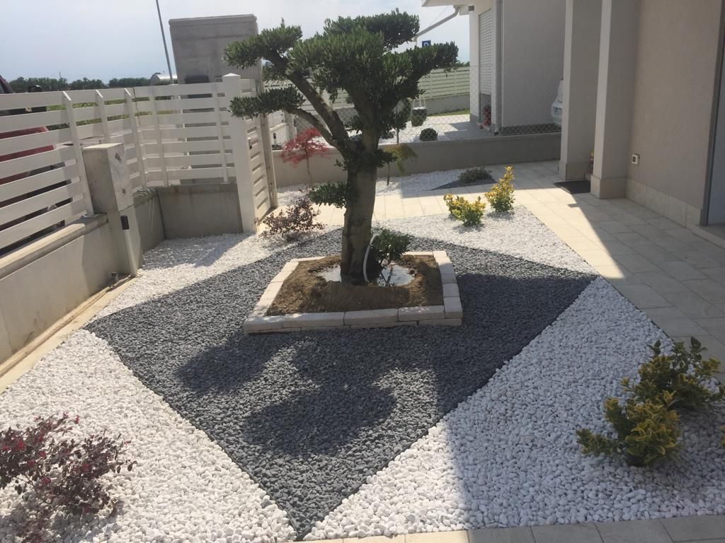 olivo aiuola moderna, Tecnoverde srl Tecnoverde srl Jardines zen