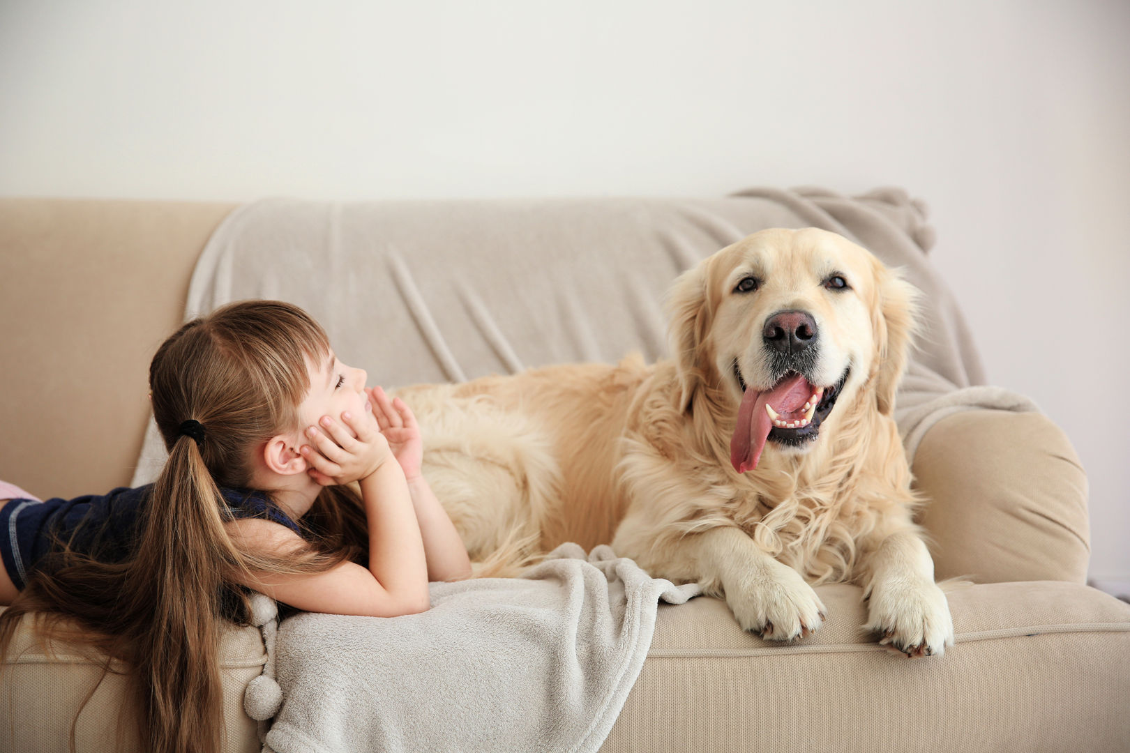 Tips for Picking Out Pet-Friendly Furniture, Press profile homify Press profile homify Modern living room Side tables & trays