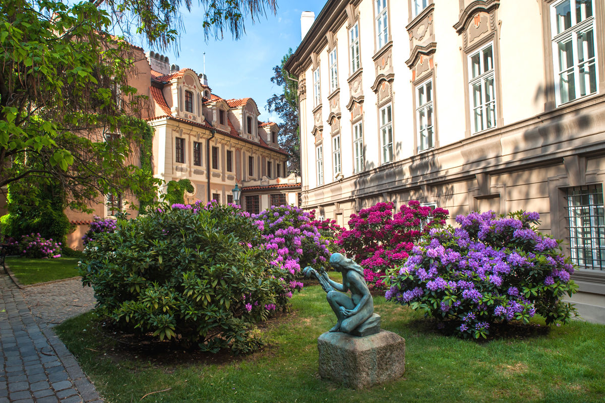 Gartengestaltung - Ideen & Beispiele zum Planen & Gestalten, PuroVivo PuroVivo Jardins modernos