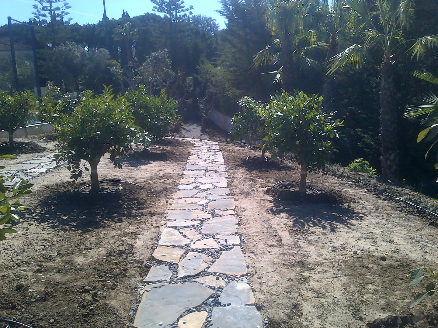 ZONA DE PASO Y JARDIN CONSTRUCCIONES Y REFORMAS VALLE DE ARDALES S.L. Jardines de estilo clásico constructores, constructores en Malaga, arquitectura, arquitectura en Malaga, arquitectura moderna, arquitectura moderna en Malaga, amarillo, blanco, casa, casa en Malaga, villa en Malaga, loft, casa moderna, casa sostenible, cocina, cocina iluminada, cocina amplia, cocina moderna, color, comedor, construccion, reformas en Malaga, construccion sostenible en Malaga, construccion sostenible, diseño, diseño arquitectonico, diseño cocina, diseño de casa, diseño de interiores, diseño en Malaga, diseno contemporáneo, design, home design, diseño original, diseño sostenible, diseño sostenible en Malaga, dormitorio, dormitorio, dormitorios, entorno, entrada, espacio diáfano, espacio alargado, espacio sostenible, espacios abiertos, estilo, estilo contemporáneo, estudio, estudio de arquitectura, estudio de arquitectura en Malaga, fachada, habitacion, iluminacion, instalaciones, integrada, molduras, mobiliario, parquet, pavimento, proyecto, proyecto de construccion, proyecto de construccion en Malaga, proyecto en Malaga, puertas, recibidor, reforma, reforma de vivienda, reforma de vivienda en Malaga, reforma en Malaga, reforma integral, reforma sostenible, rehabilitacion, rehabilitacion en Malaga, rehabilitacion integral, rehabilitacion sostenible, rehabilitacion vivienda, rehabilitacion vivienda en Malaga, revestimiento, sala, salon, sol techo, techos altos, Malaga, ventanas, ventilacion, vestíbulo, vivienda, vivienda en Malaga, vivienda moderna, vivienda sostenible, reforma vip