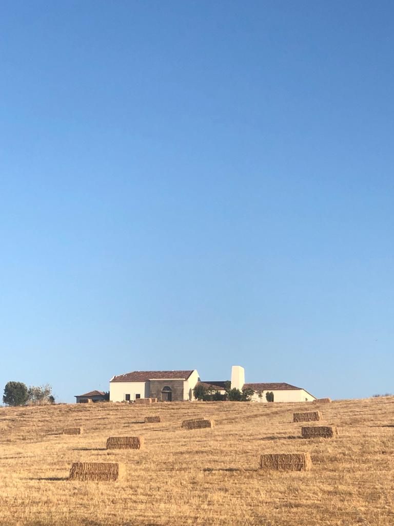 MA.TERIA. HOUSE. HERDADE FAMAIS. ALCÁCER, MA.TERIA. ARCH MA.TERIA. ARCH Casas rurales