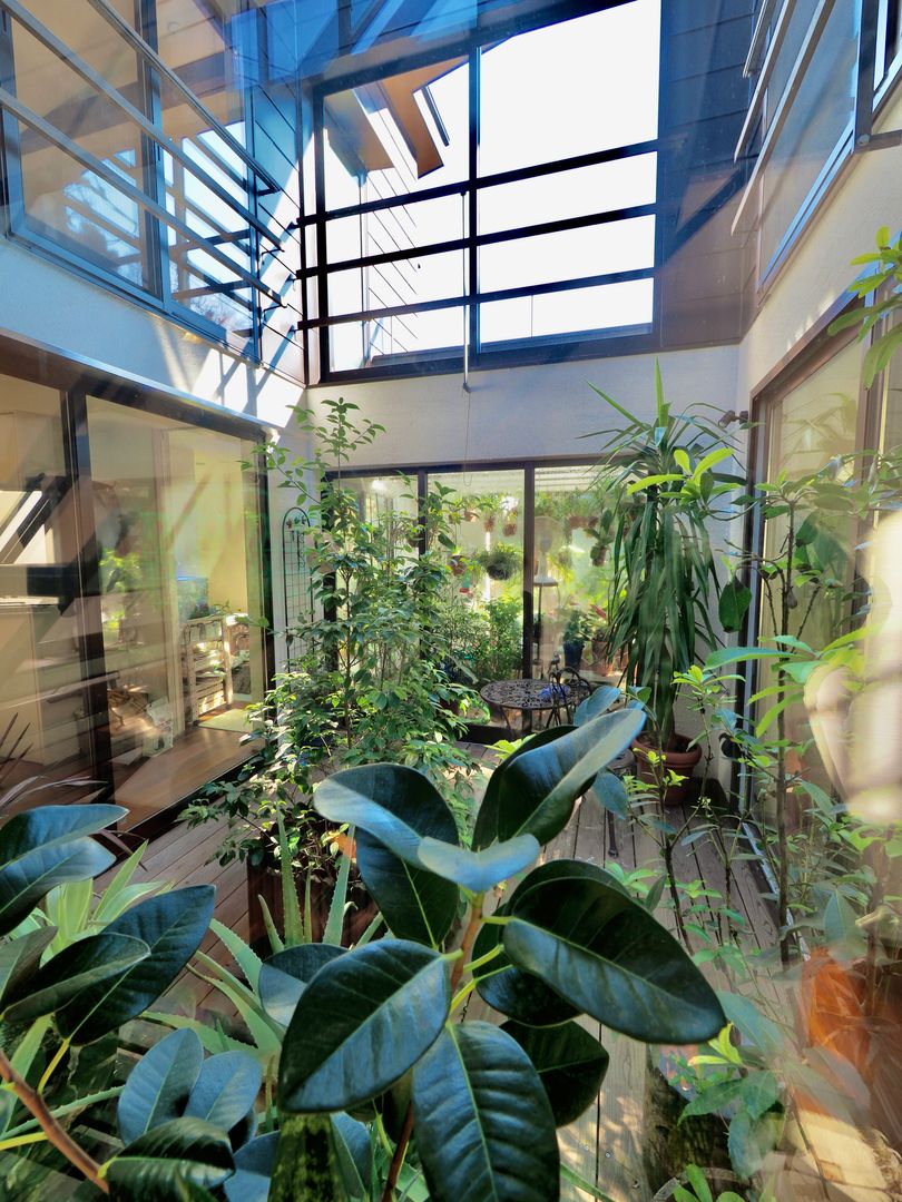 横浜の家／温室と中庭のある家, 大庭建築設計事務所 大庭建築設計事務所 Moderne balkons, veranda's en terrassen Hout Hout