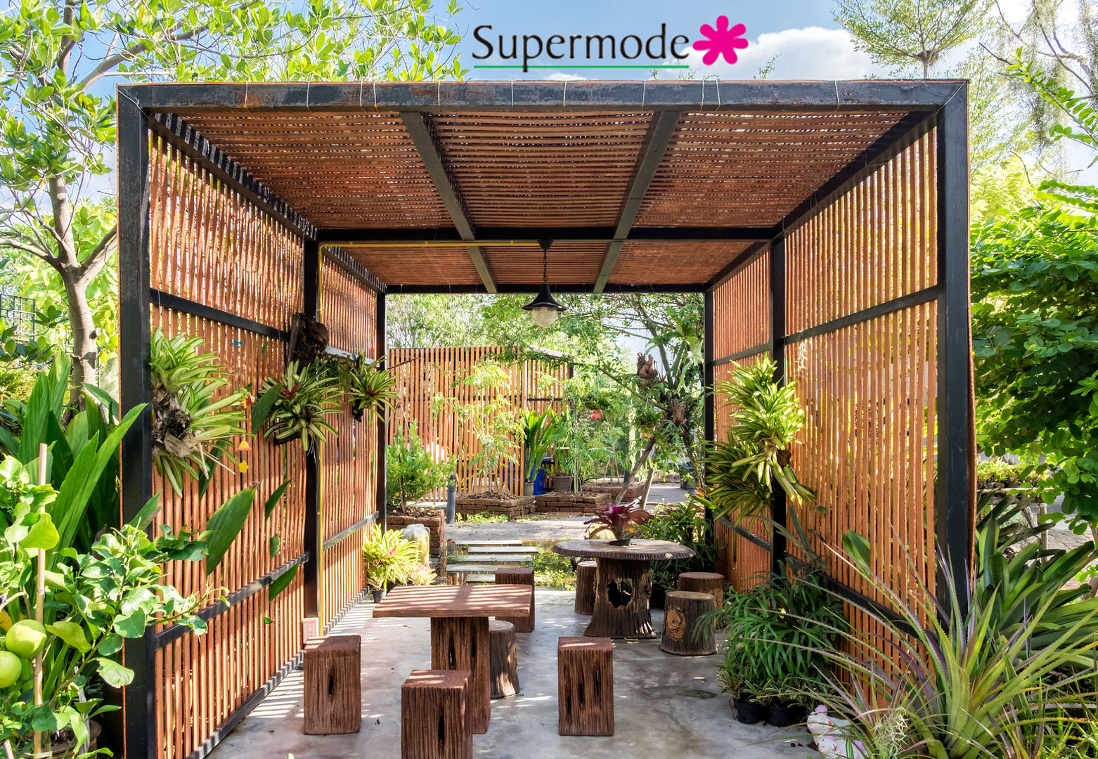 Simple Terrace Garden Ideas India