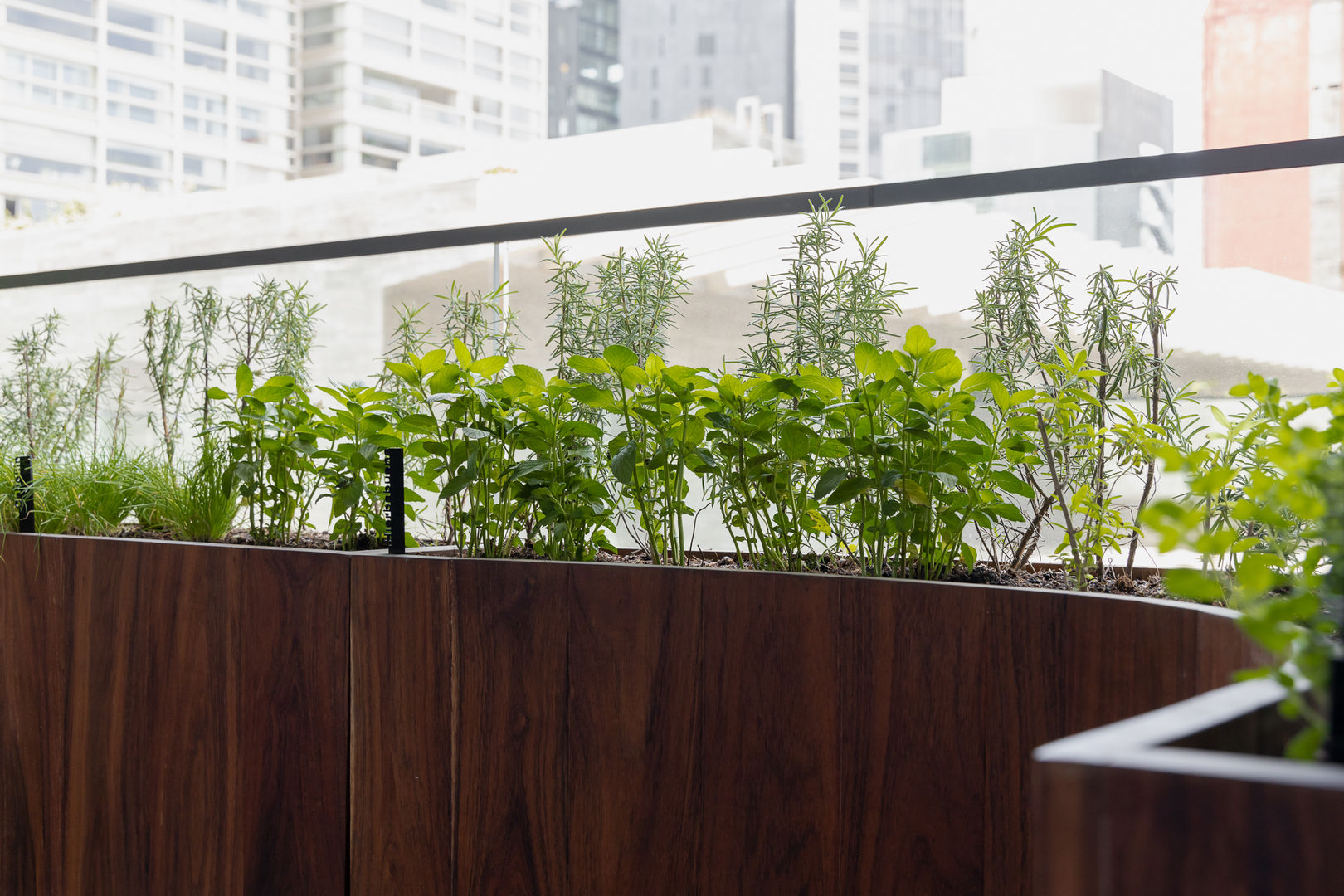 Terraza y Huerto, HUATAN HUATAN Varandas, alpendres e terraços modernos