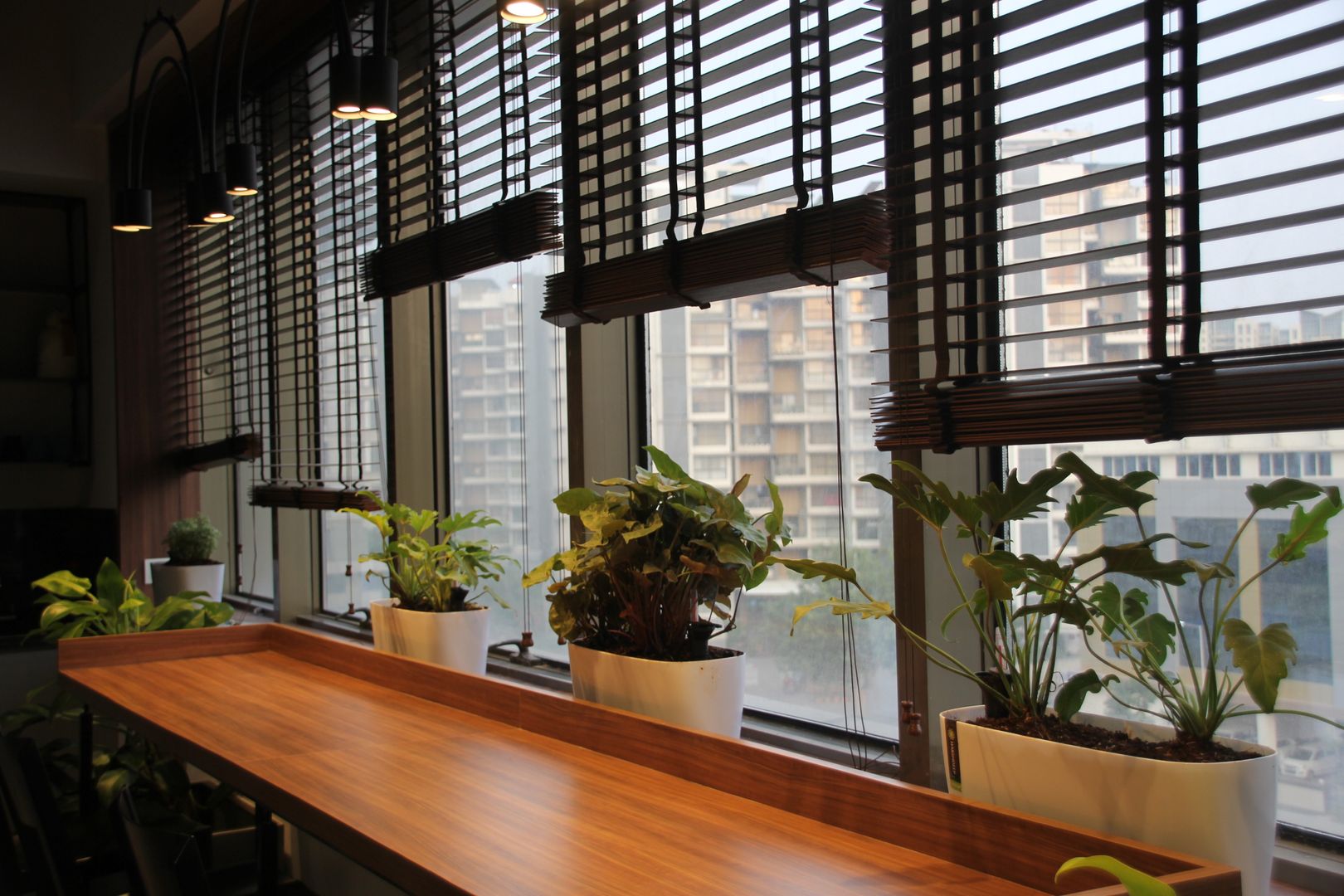 Interioforest helped an office to come Alive Interioforest Plantscaping Solutions Modern study/office