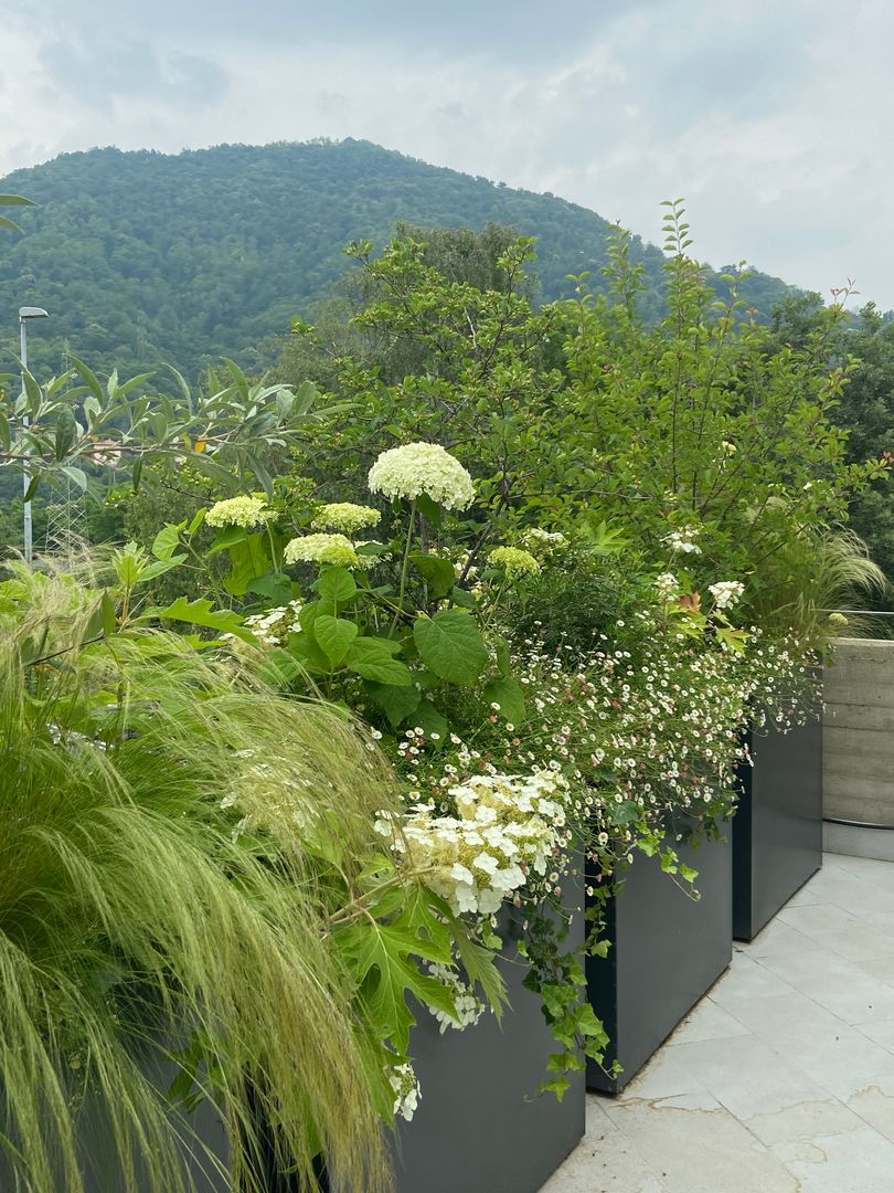 Un giardino in vaso , The Private Gardener The Private Gardener 前院