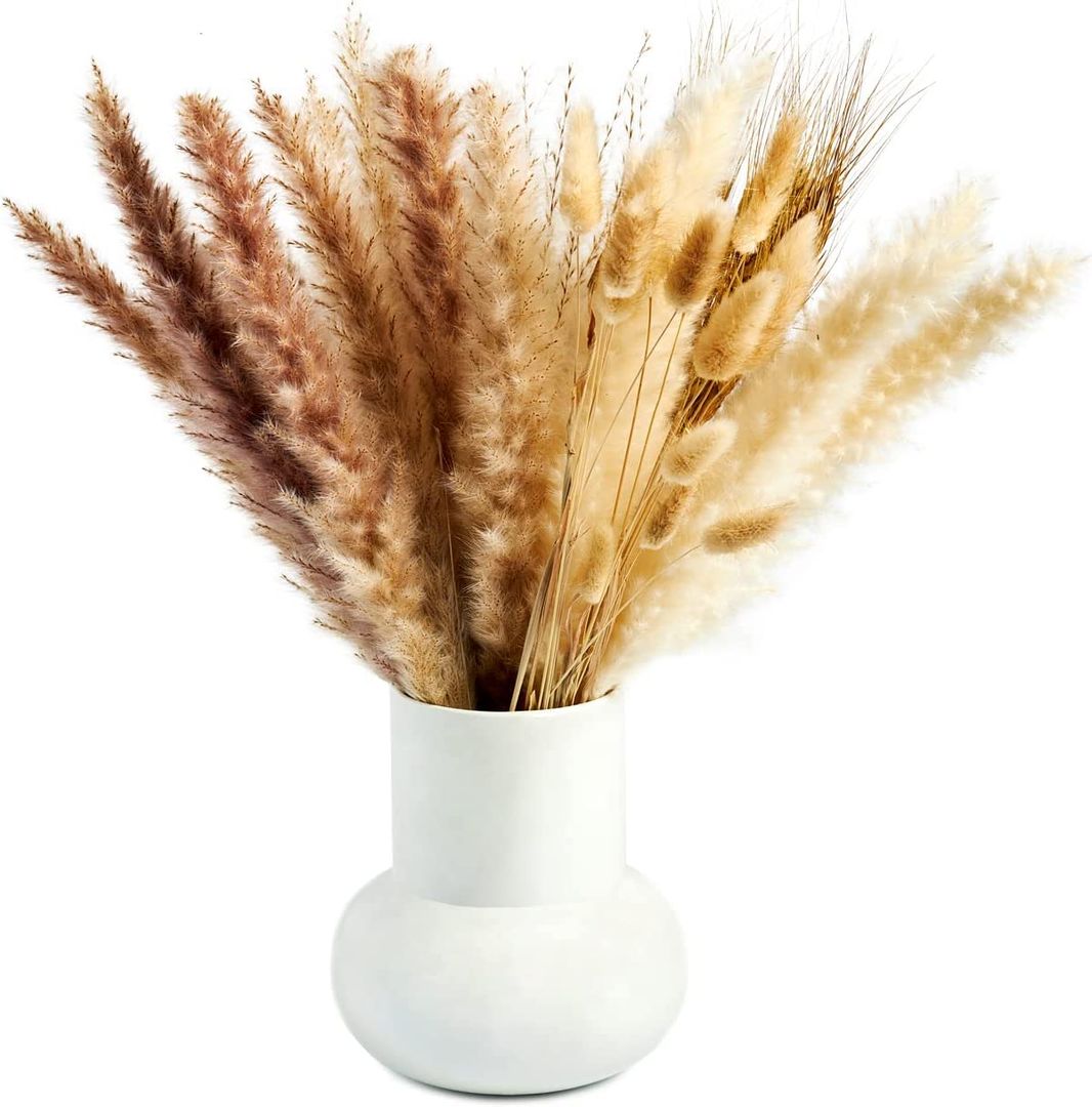 Pampas Grass, Press profile homify Press profile homify その他のスペース