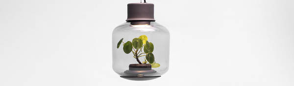 Mygdal plant lamp deals