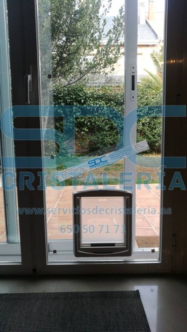 Instalación de gateras en puertas de cristal en VALENCIA